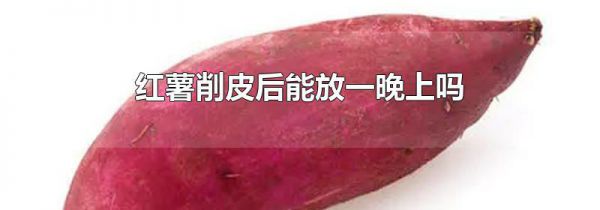 红薯削皮后能放一晚上吗