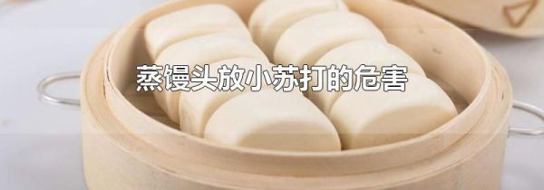 蒸馒头放小苏打的危害