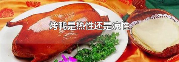 烤鸭是热性还是凉性