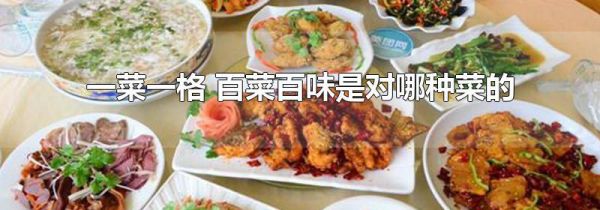 一菜一格 百菜百味是对哪种菜的