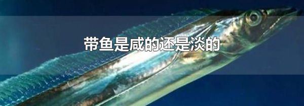 带鱼是咸的还是淡的