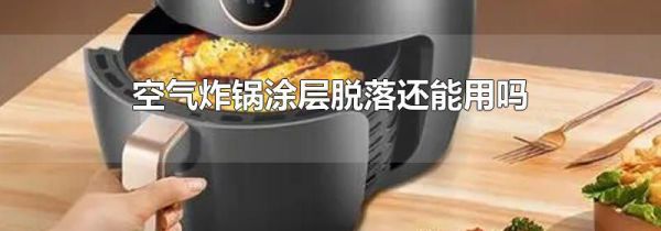空气炸锅涂层脱落还能用吗