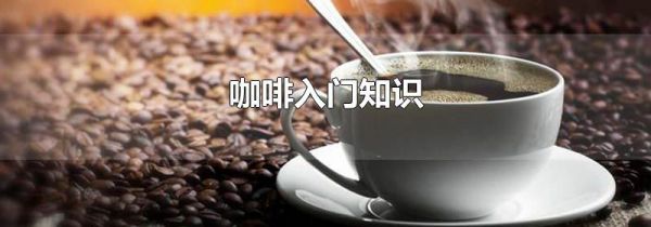 咖啡入门知识