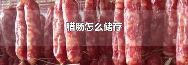腊肠怎么储存