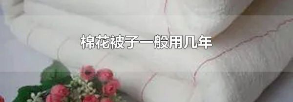 棉花被子一般用几年
