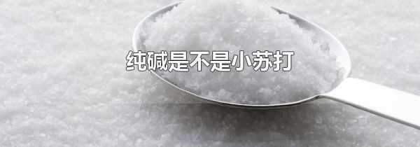 纯碱是不是小苏打