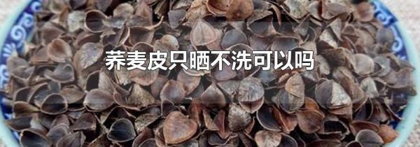 荞麦皮只晒不洗可以吗