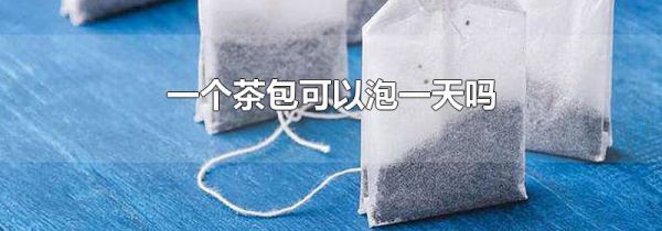 一个茶包可以泡一天吗