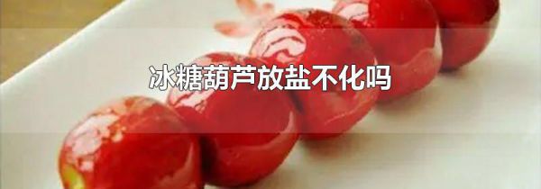 冰糖葫芦放盐不化吗