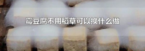 霉豆腐不用稻草可以换什么做