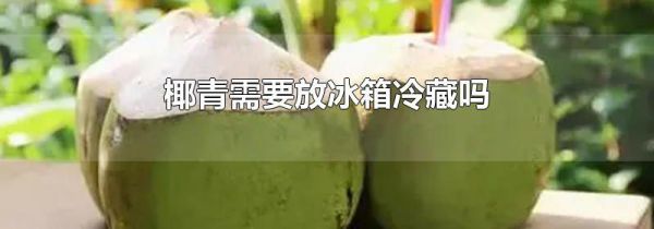 椰青需要放冰箱冷藏吗