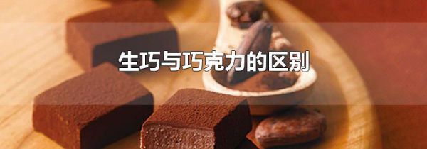 生巧与巧克力的区别