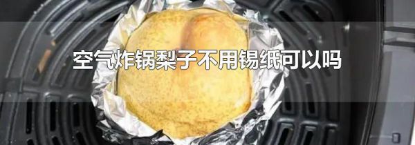 空气炸锅梨子不用锡纸可以吗
