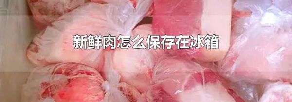新鲜肉怎么保存在冰箱