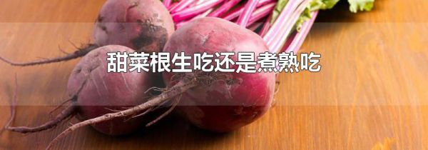甜菜根生吃还是煮熟吃
