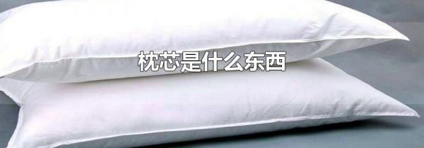 枕芯是什么东西