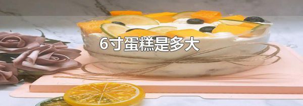 6寸蛋糕是多大
