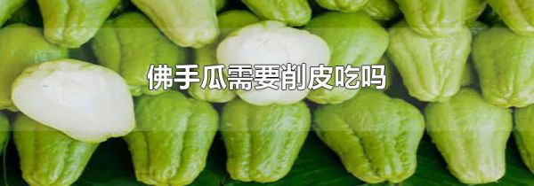 佛手瓜需要削皮吃吗