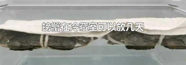 螃蟹在冷藏室可以放几天