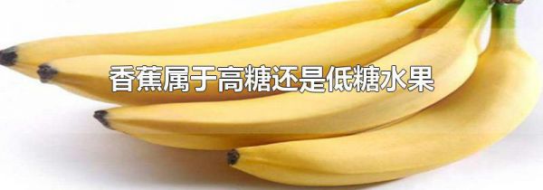 香蕉属于高糖还是低糖水果