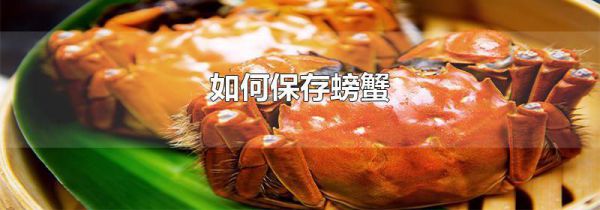 如何保存螃蟹