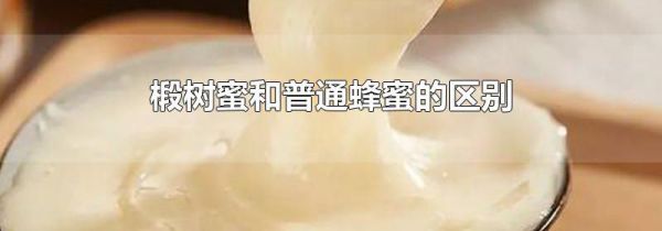 椴树蜜和普通蜂蜜的区别