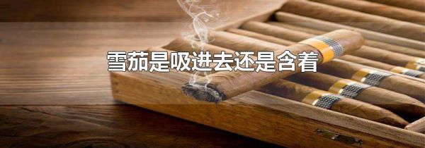雪茄是吸进去还是含着