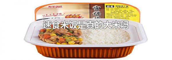 速食米饭是真的大米吗