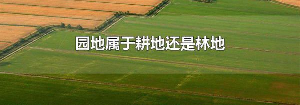 园地属于耕地还是林地
