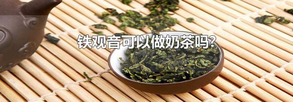 铁观音可以做奶茶吗?