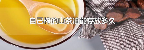 自己榨的山茶油能存放多久