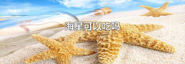 海星可以吃吗