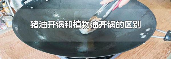 猪油开锅和植物油开锅的区别