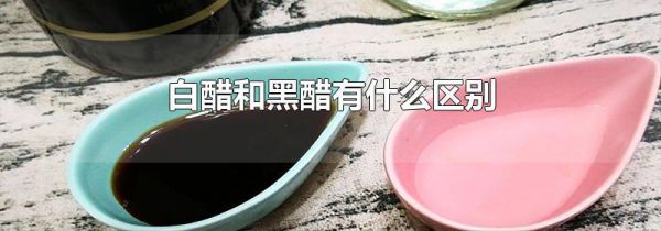 白醋和黑醋有什么区别