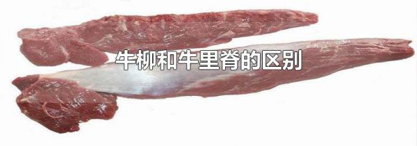 牛柳和牛里脊的区别