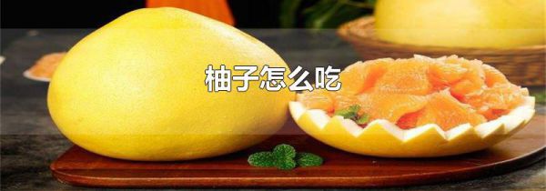 柚子怎么吃