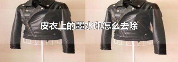 皮衣上的墨水印怎么去除