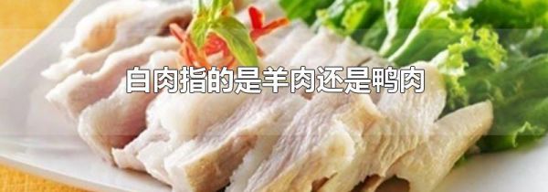 白肉指的是羊肉还是鸭肉