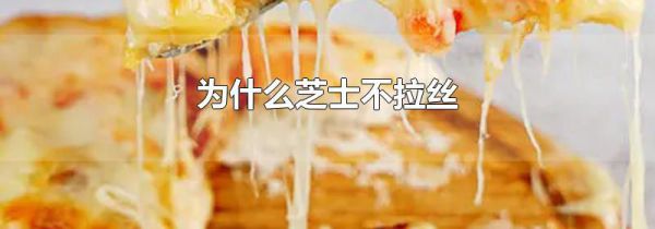 为什么芝士不拉丝