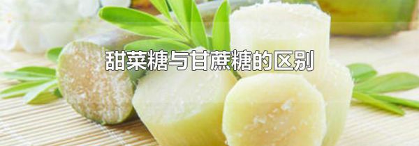 甜菜糖与甘蔗糖的区别