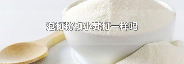 泡打粉和小苏打一样吗
