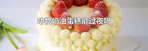 动物奶油蛋糕能过夜吗