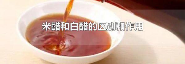 米醋和白醋的区别和作用
