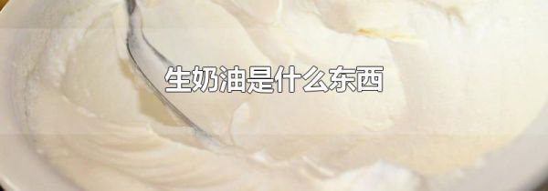 生奶油是什么东西