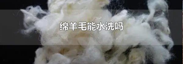 绵羊毛能水洗吗
