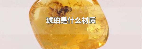 琥珀是什么材质