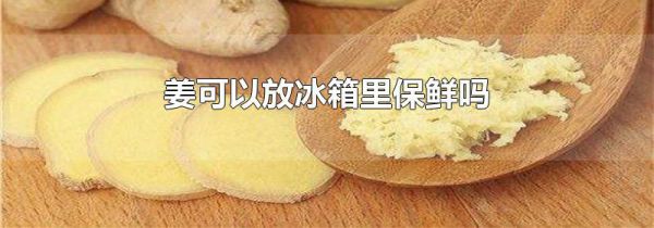 姜可以放冰箱里保鲜吗