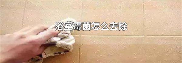 浴室霉菌怎么去除