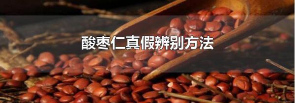 酸枣仁真假辨别方法