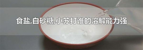 食盐,白砂糖,小苏打谁的溶解能力强